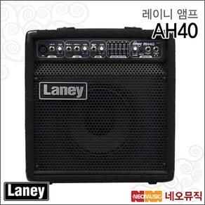 AH40, 레이니 AH40(40W)_P6, 색상:레이니 AH40(40W)_P6, 1개