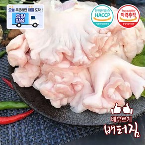 (배터짐) 국내산 손질 돼지 도래창 특수부위, 5개, 1kg