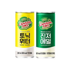 캐나다드라이 진저에일&토닉워터 250ml, 30개