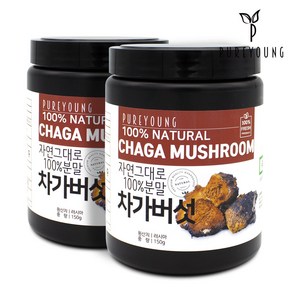 퓨어영 차가버섯 차가버섯분말 차가버섯추출분말, 150g, 2개