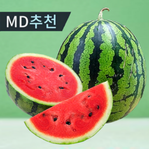[당도수박] 납품가격 매년단골 가정용 과즙 꿀수박, 1개, 중 ( 4~5kg 내외)