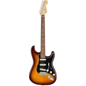 Fender 일렉트릭 기타 Player Stratocaster Plus Top Pau Ferro Fingerboard Tobacco Sunburst