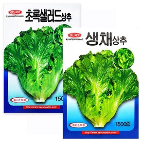 경신종묘 초록샐러드상추 1500립 파종용 상추 씨앗, 1개