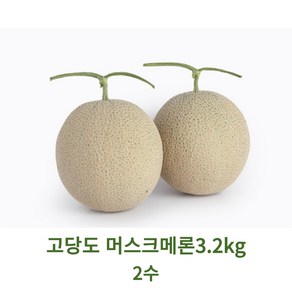 메론 달콤쫀득한 고당도 머스크 허니듀 멜론