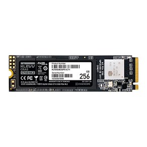 ESSENCORE KLEVV CRAS C710 M.2 2280 (256GB), 256GB, 상세페이지 참조