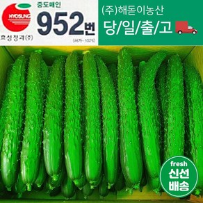 <해돋이농산> 국내산 오이 가시오이 청오이 특품 1박스(10kg내외), 10kg내외, 1개