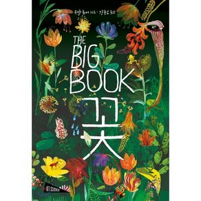 THE BIG BOOK 꽃, 보림, 유발 좀머 글그림/강준오 역/엘리사 비온디,스콧 ..., 9788943313579, THE BIG BOOK 더 빅북