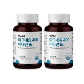 프리벤트라 마그네슘 400 위드 비타민B6 1000mg x 90정