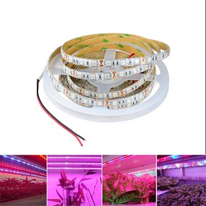 Haogekey 5미터 5050 LED 식물생장등 12V 온실 수경재배용 풀 스펙트럼 LED 램프 스트립, 3레드1블루, 불방수