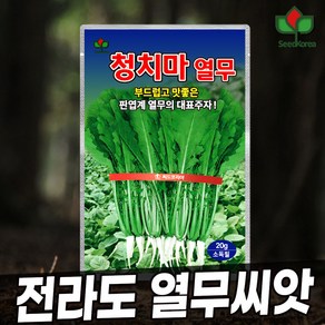 [씨드코리아] 청치마 열무씨앗 부드러운 전라도 열무 씨, 1개