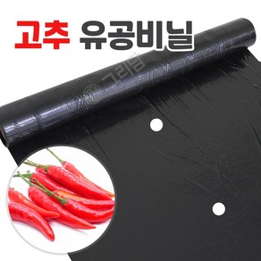 고추 전용 유공 멀칭비닐 텃밭 농사용 검정 고추비닐, 9) 0.02x100x200 (1구/40), 1개