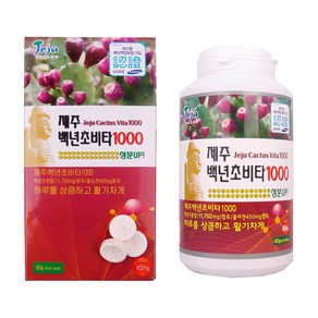 삼다몰 제주 감귤비타민 백년초비타민 블루베리비타민, 450g, 1개