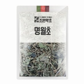 조은약초 명월초 100g