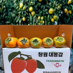 첫 출하 농랑부랑 경남 진주 대봉감 5kg 10kg 특대과 안전포장, 대봉감 5kg X  16~23개 1박스, 1박스