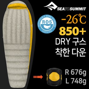 [텐잘남] SEATOSUMMIT 씨투써밋 스파크 SP3 침낭 구스다운, 단품없음, 1개