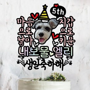 써봄203 마음으로낳아 지갑으로키운 강아지 생일파티 반려견 반려묘 케이크토퍼, 생일축하해, 1개