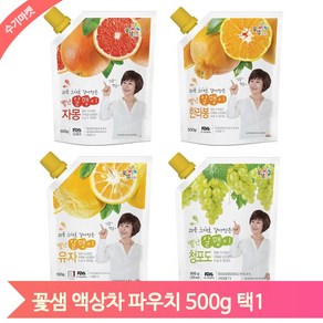 스무디만들기 카페재료 음료베이스 500g 유자 자몽 청포도 한라봉 액상차, 1개