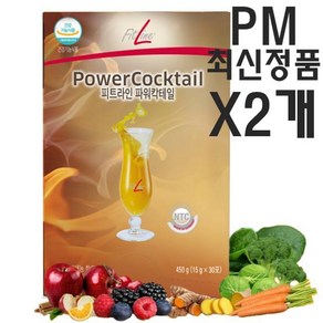 독일 PM 피엠 피트라인 파워칵테일 450g+450g 최신제품 발송, 450g, 2개