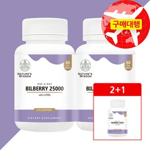 뉴질랜드 네이처스위즈덤 빌베리 25000mg, 3개, 60정