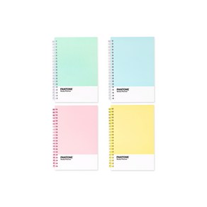 PANTONE 팬톤 스터디 플래너 4개월 스케줄러 하드커버 스프링노트 학습플래너, 민트, 1개