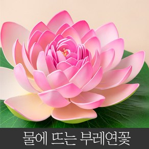 호가 물에 뜨는 부레연꽃 조화 인테리어 소품 플로팅, 부레연꽃 백련-소