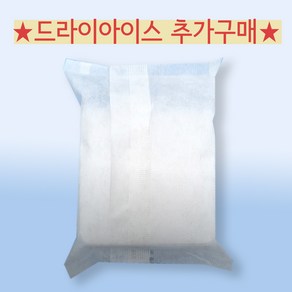 드라이아이스 625g [단독출고불가능-냉장 냉동 제품과 함께 출고되는 상품입니다.], 1개