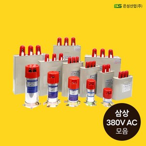 은성콘덴서 저압진상콘덴서 380V 모음 콘덴샤 삼상 Kva 캐패시터, 삼상 380VAC, 1개