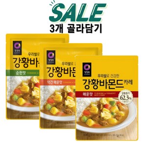 청정원 강황바몬드카레 100g 순한맛 1개 + 약간매운맛 1개 + 매운맛 1개 (총3개) 분말커리, 300g, 1세트