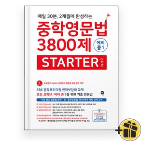 2024년 중학영문법 3800제 스타터 예비 중1 마더텅