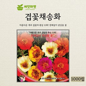 세계종묘 겹꽃채송화 씨앗 1000립, 1개