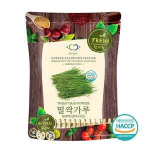 푸른들판 국산 밀싹 분말 가루 100% HACCP 인증 밀새싹 밀순 밀싹순 파우더, 500g, 1개, 없음