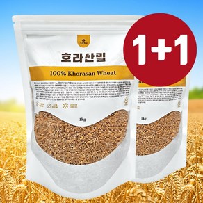 2024년 신선한 수확 고대곡물 FARRO 파로쌀 외 9종 택1 통곡물 저칼로리 고단백 건강쌀, 10) 루피니빈 1kg, 1개