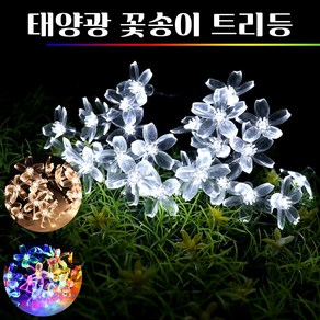 솔라콤 태양광 꽃송이 트리등 일반형 LED 30구 가랜드 루프탐 파티 룸 야외 줄 스트링 장식 조명, 전구색