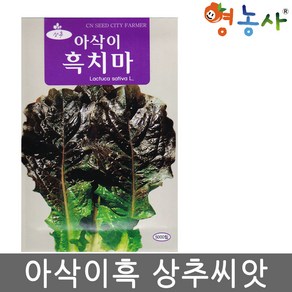 아삭이 흑치마 상추 씨앗 5000립 흑자색 광택의 상추씨 종자