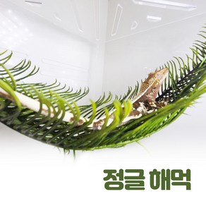 정글해먹