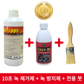 ST100V 이지엠 녹제거제 녹방지제 SET 스텐 알루미늄 관리, ST100V 1000ml 1개 이지엠1개, 1개, 500g