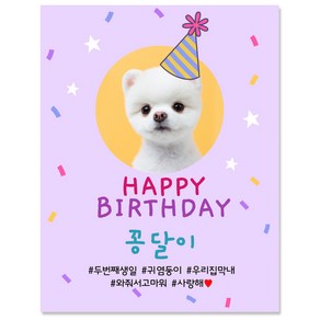 강아지 생일 자유 문구 제작 현수막 플랜카드 DA_20 70X90