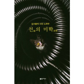 선의 미학:김가중의 사진 노하우, 칼라박스, 김가중 저