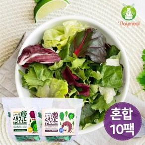 데이밀 자연을담은 샐러드 실속 혼합구성 100g x 10팩 국내산 야채믹스, 드레싱없음, 10개