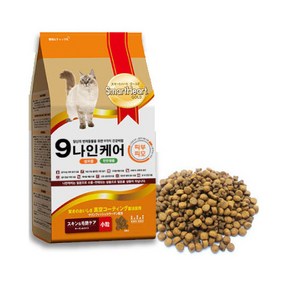 나인케어 피부와피모 고양이 사료, 1.2kg, 1개