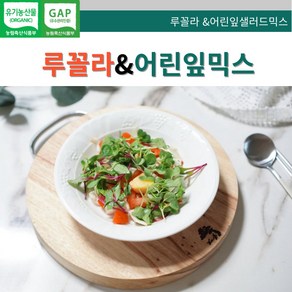 [바오농장] 루꼴라& 어린잎믹스 샐러드채소 유기농 샐러드, 2개, 100g