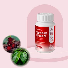 바이탈나인 양춘사추출물 바나바잎 정 600mg x 60정