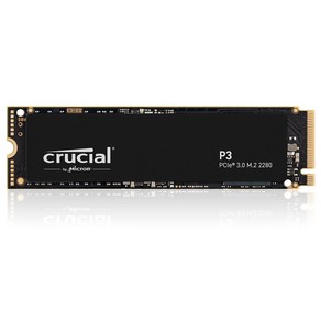 마이크론 Cucial P3 M.2 2280 NVMe SSD, 1024GB