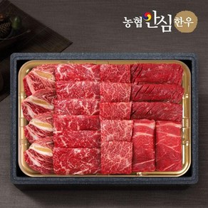 농협 [농협안심한우] 1등급 한우 총1kg (등심+채끝+특수+불고기+국거리) 모둠채반