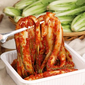 셰프애찬 박셰프 얼갈이 통 김치 정성가득 겉절이 별미김치 맛김치, 2kg, 1개