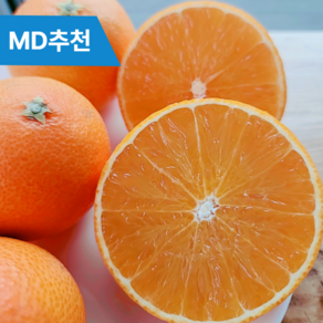 [농장직송] 당도선별 제주 노지 가정용 황금향, 옵션 06. 제주 가정용 2kg 중소과, 1개