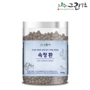 그린약초 속청환 속편안환 300g, 1개