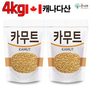 The큰나무 캐나다산 오리지널 카무트, 2개, 2kg