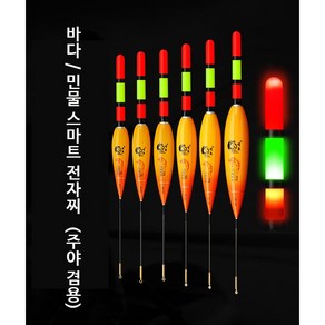 JD 바다 민물 스마트 전자찌 막대찌 3점등 대물 장대