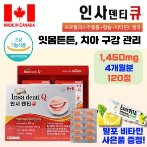 인사덴티큐 인사큐 인사플러스 잇몸 치아 건강 캐나다영양제1450mg x120정 4개월분 선물용, 120정, 1개